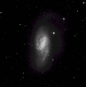 M66