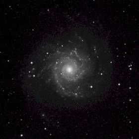 M74